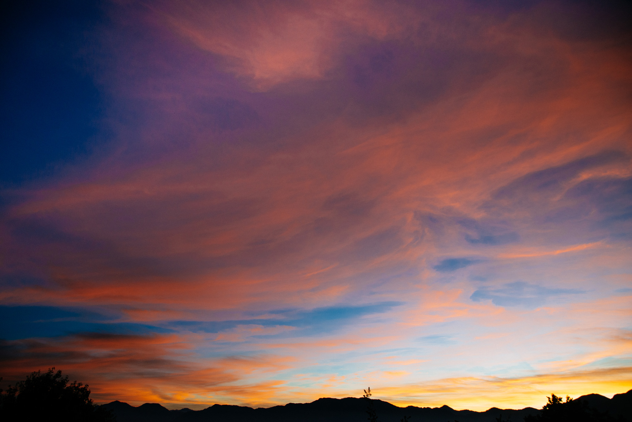 久違的熱血。阿里山賞日出